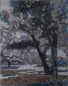 Faiza Toufique, 10 x 14 Inches